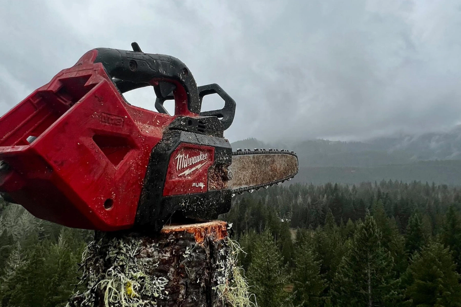 chainsaw on top of cut tree trunk with forest view