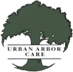 urban arbor care logo removebg preview (1) 1